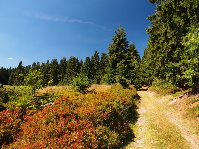 P1018857.JPG