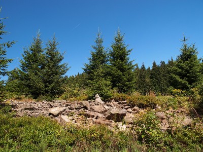 P1018861.JPG